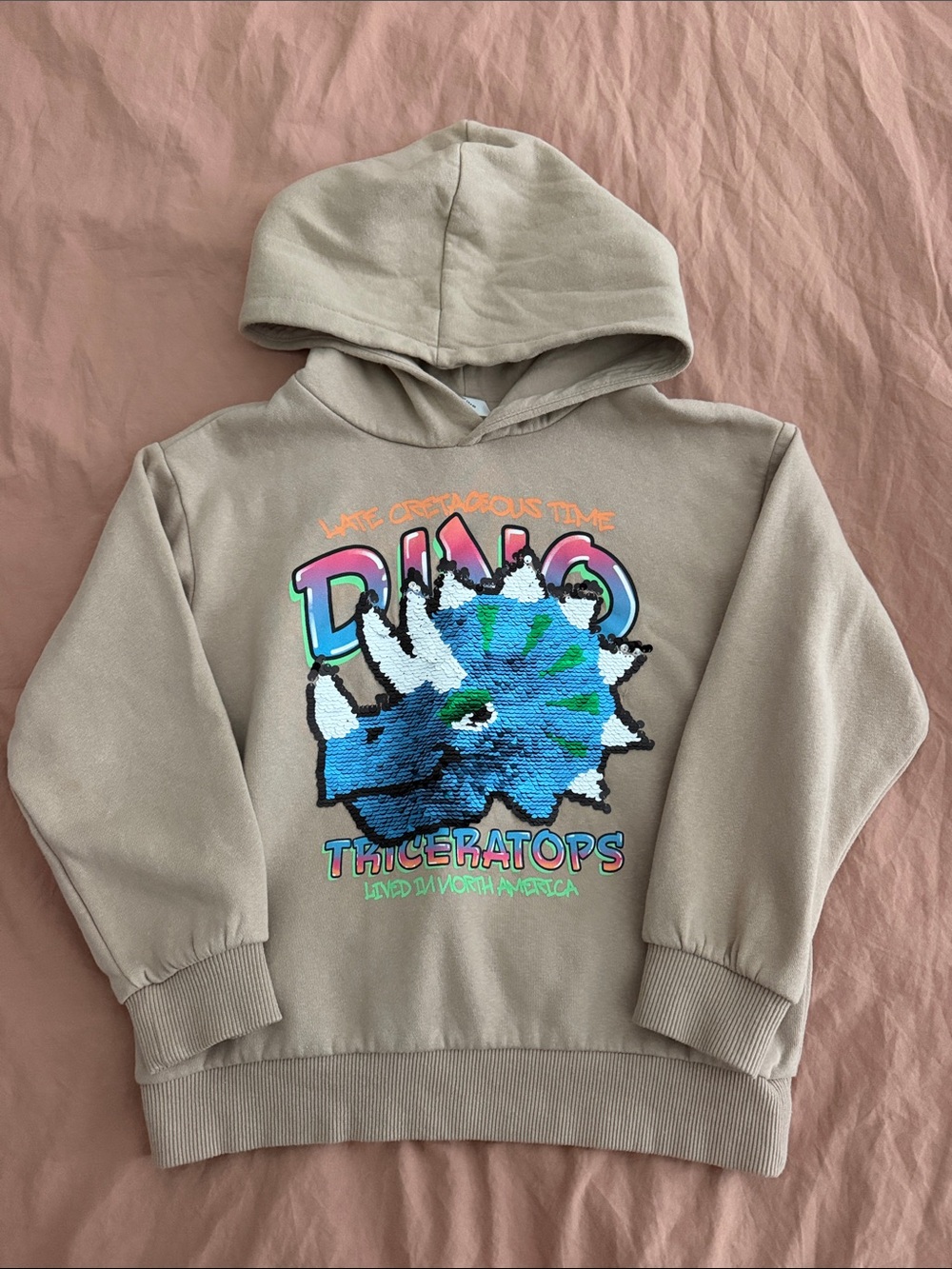 ✨H&M UNISEX KIDS TRICERATOPS SEQUINS MOTIF HOODIE✨